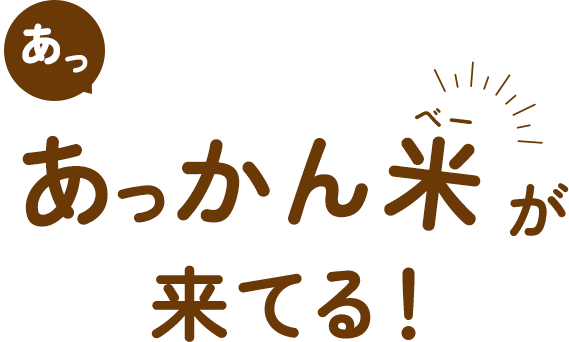 あっあっかん米が来てる！